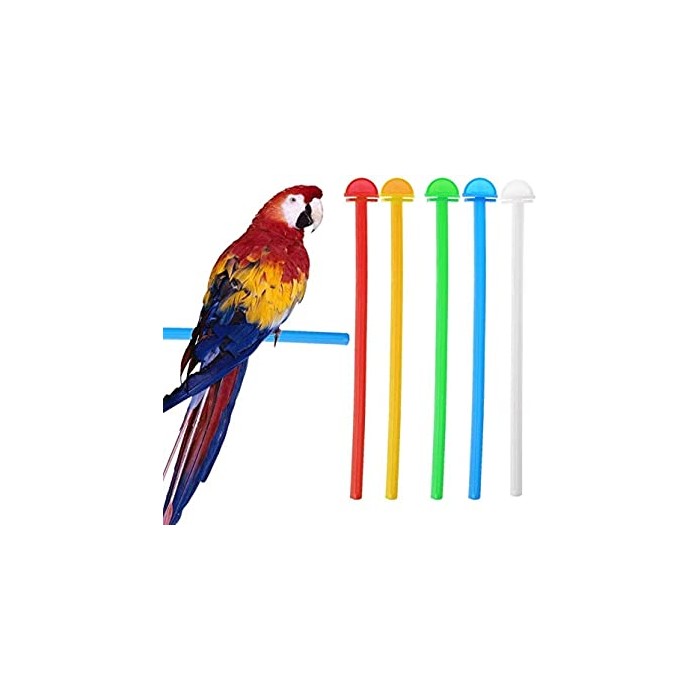 Cage oiseaux perche support...