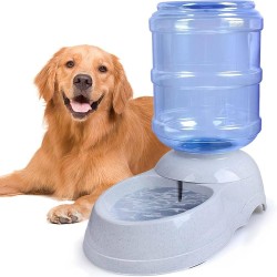 Distributeur d'eau pour chien