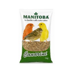Manitoba grains canaris 1 kg