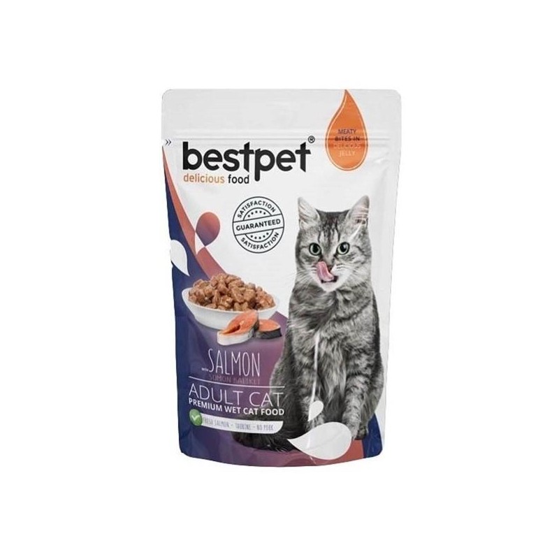 Bestpet au saumon pour chat 85 g