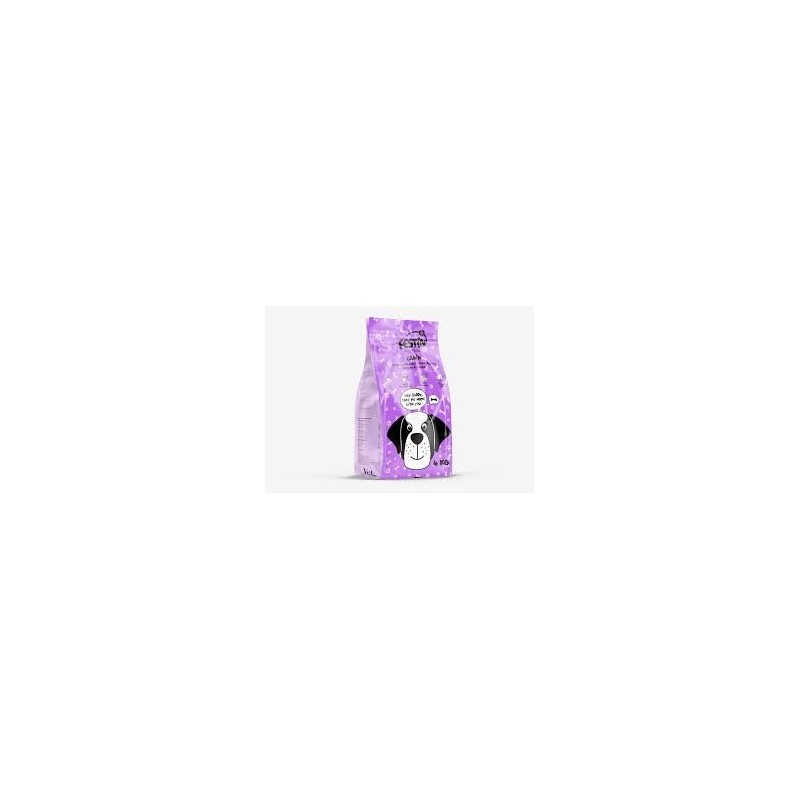 Festin chien adulte moyen et grand 20 kg