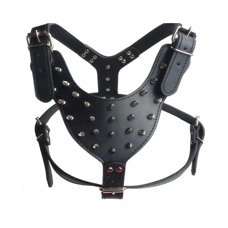 Harnais chien en cuir cloue
