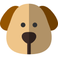 Chien
