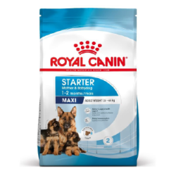 ROYAL CANIN chien starter maxi 4kg