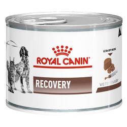 ROYAL CANIN CHIEN ET CHAT BOITE RECOVERY ULTRA SOFT MOUSSE 195G