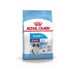 ROYAL CANIN CHIEN GIANT PUPPY 15KG