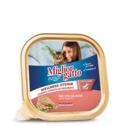 MIGLIOR GATTO barquette pate au saumon