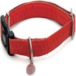 Croci collier Vanity chien