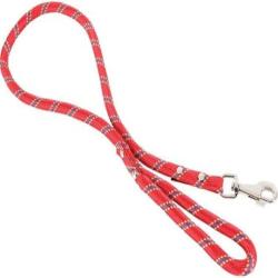 Laisse Chien Corde