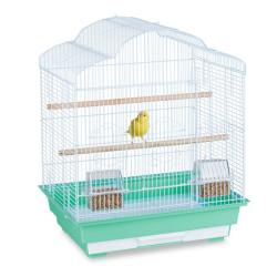 CAGE OISEAUX