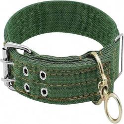 COLLIER CHIEN VERT
