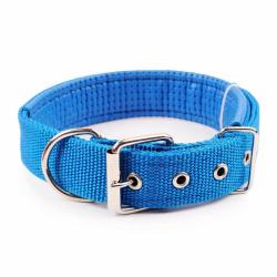 COLLIER CHIEN PETIT TAILLE