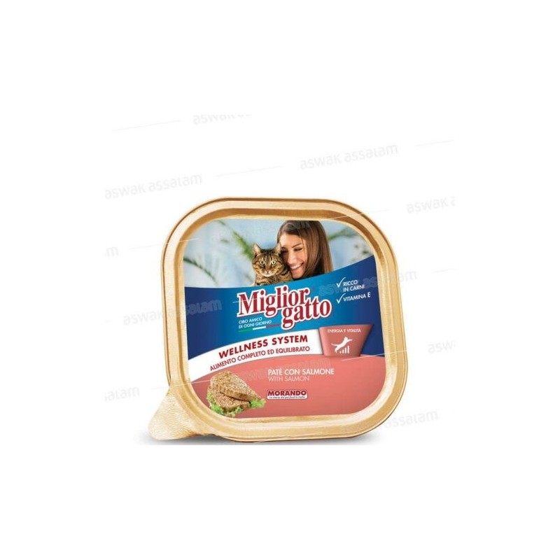 MIGLIOR GATTO barquette pate au saumon